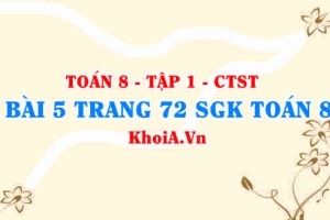 Bài 5 trang 72 SGK Toán 8 Tập 1 Chân trời sáng tạo